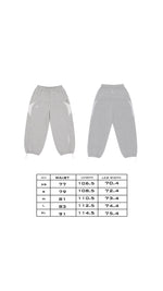 GREY VOLVE JOGGERS